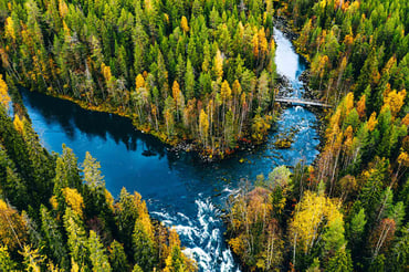 How FSC Certification Aligns with EUDR Requirements