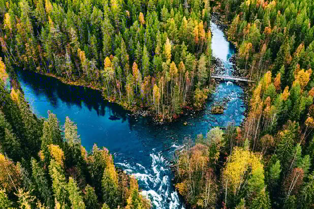 How FSC Certification Aligns with EUDR Requirements