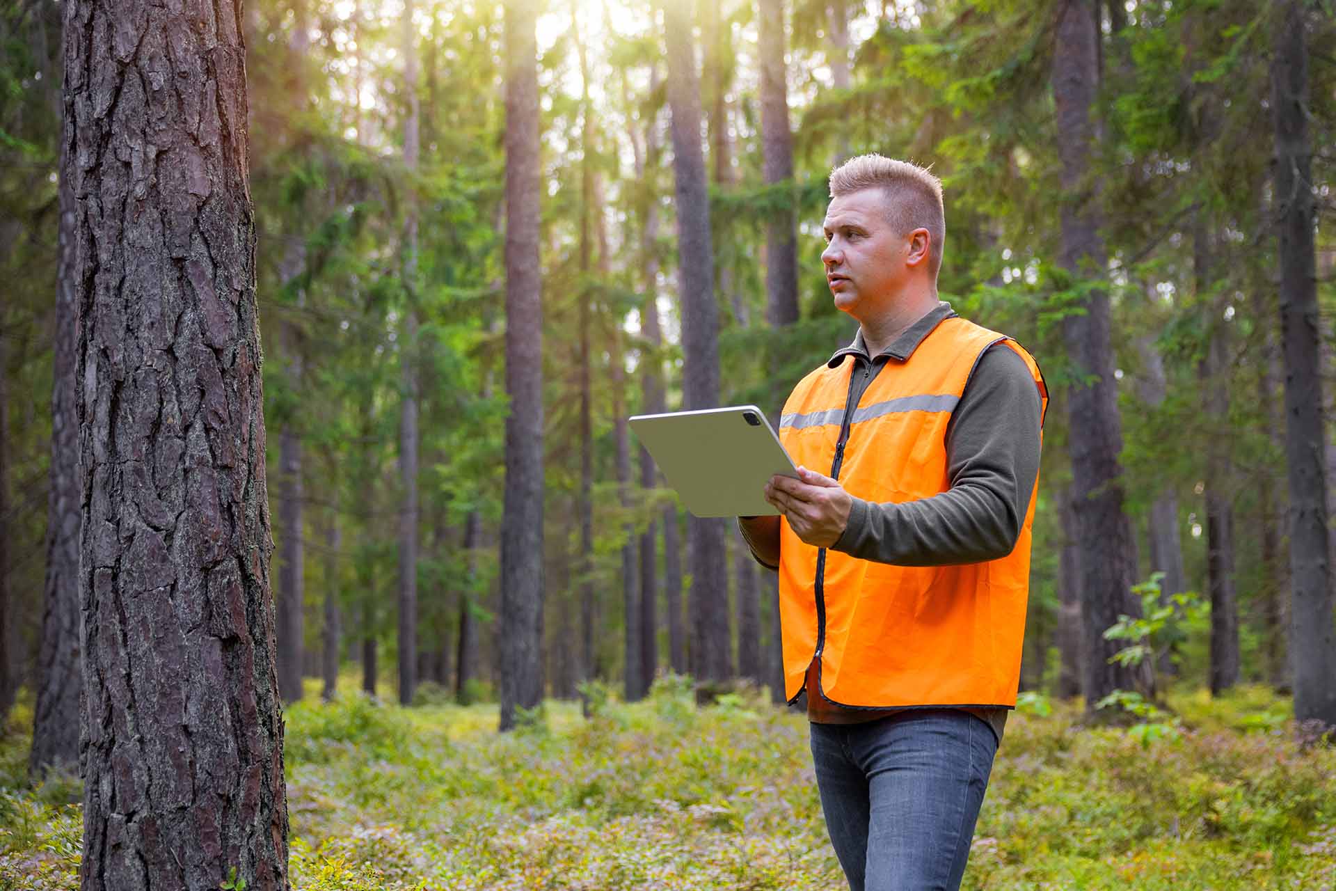 A man in a vest examining a tablet in the middle of the forest