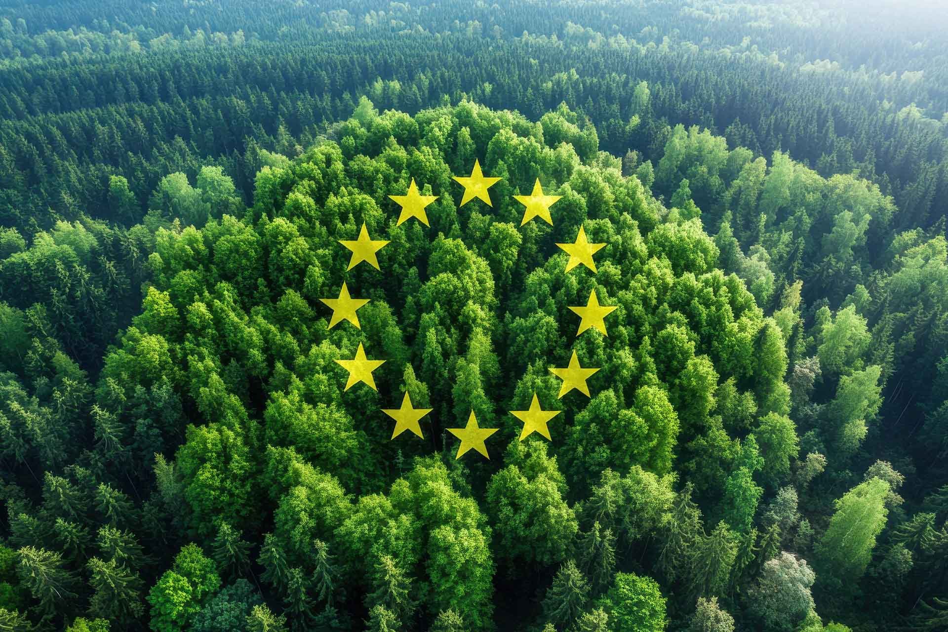 A green coniferous forest photographed from the air, with the 12 stars of the EU flag on top