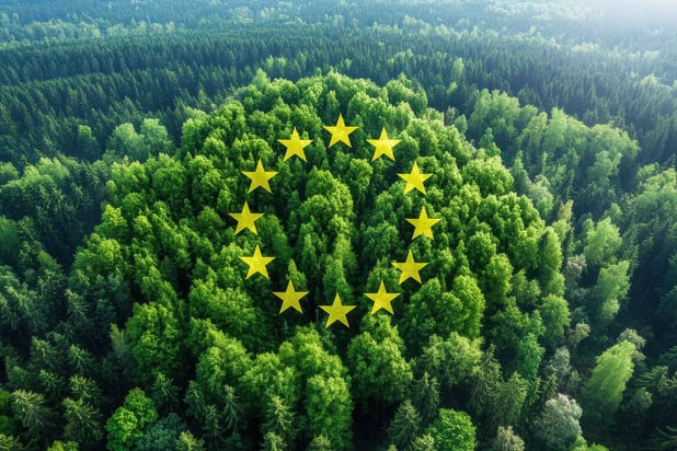 Uppdatering av “EU deforestation regulation” – praktiska tips för träindustrin