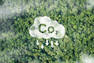 EUDR:s förordning om avskogning och spårbarhet av data – hur uppfyller man de nya kraven?