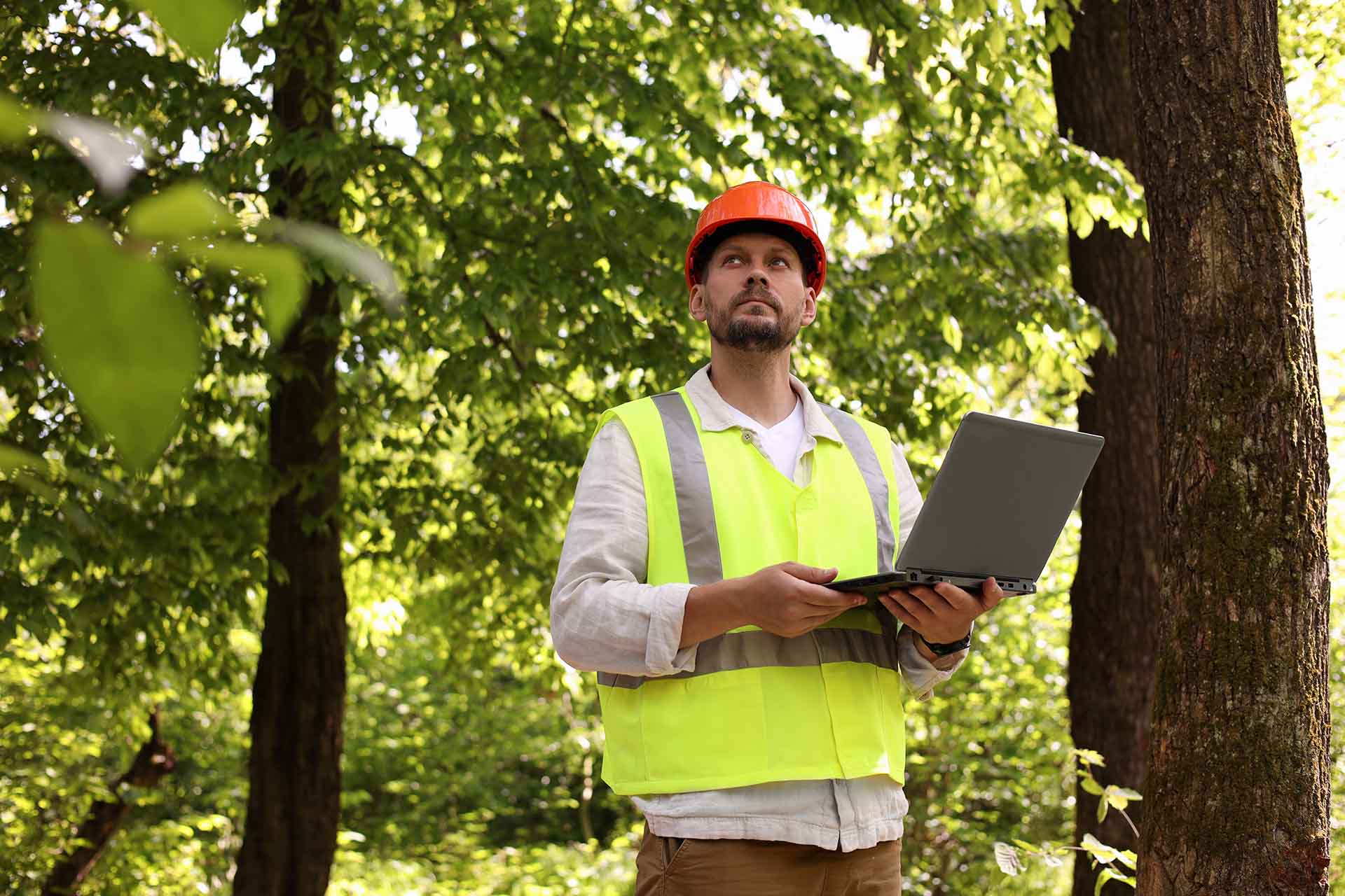 A man in an orange helmet and vest holding a laptop in the forest