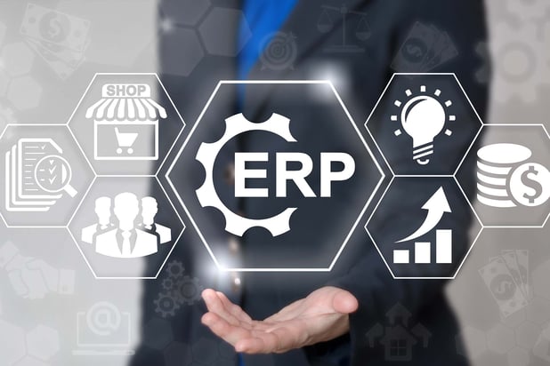Financial management as a seamless part of an ERP solution