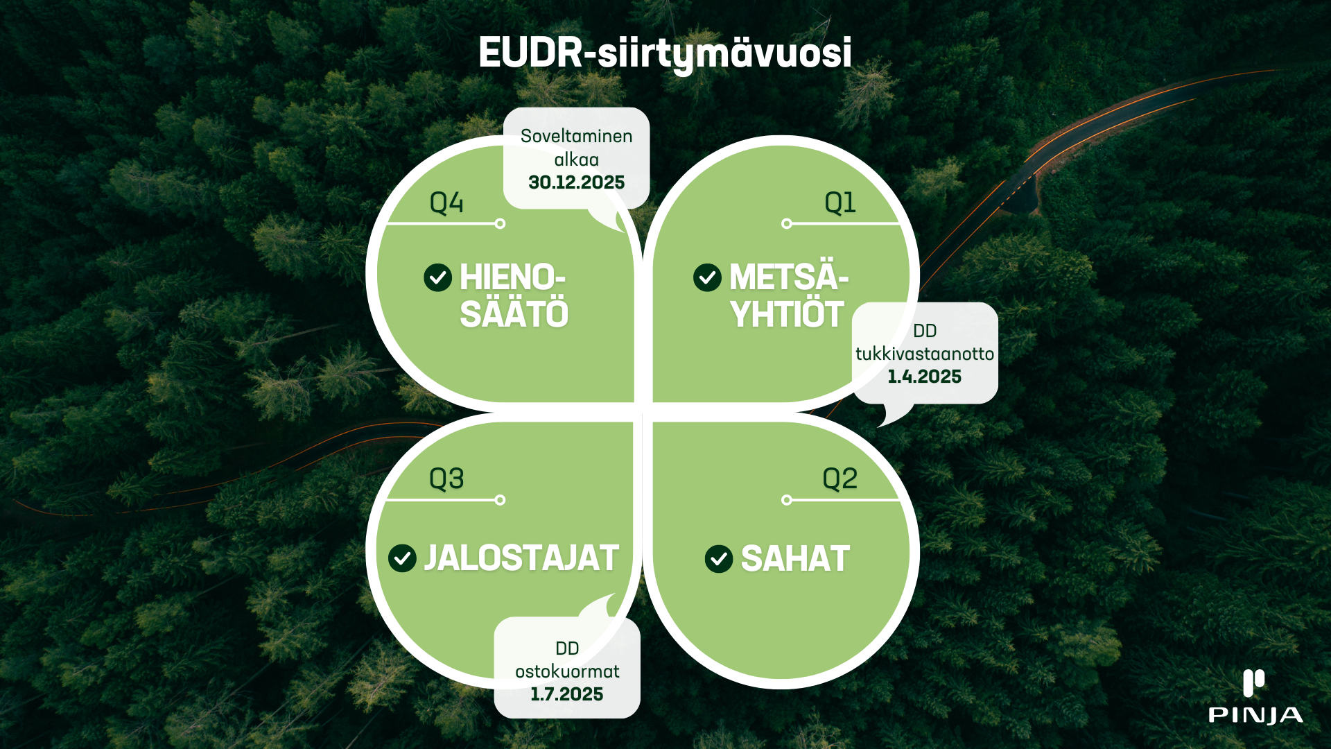 Kuvaus EUDR:n siirtymävaiheista neliapilan lehtinä