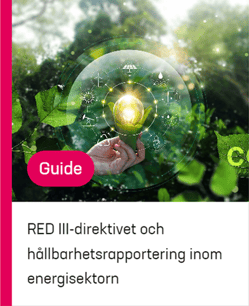 Guide: RED III direktivet och hallbarhetsrapportering