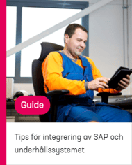 guide_tips_for_integrating_SAP_maintenance_system_cover_sv