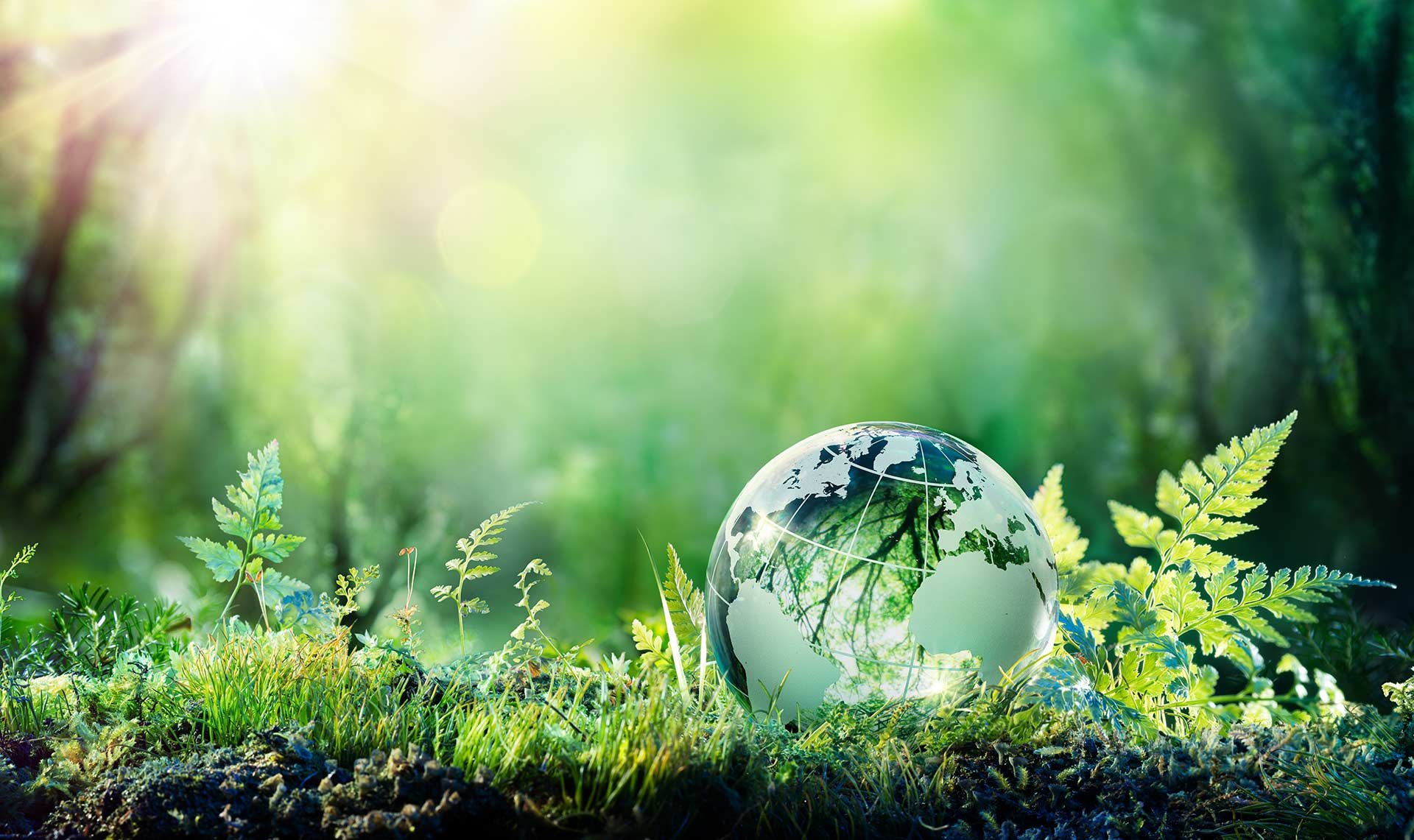 key-renewable-energy-supply-chain-3