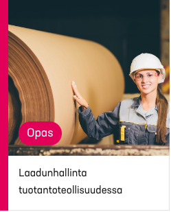 Laadunhallinta tuotantoteollisuudessa opas kuva