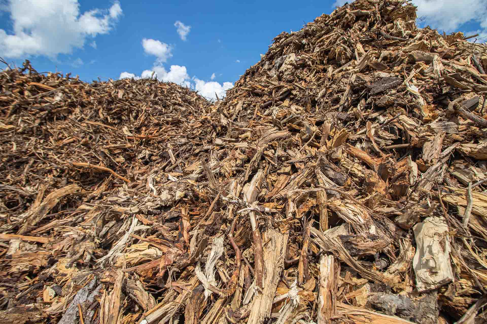 Kasa biomassaa energialaitoksen edessä